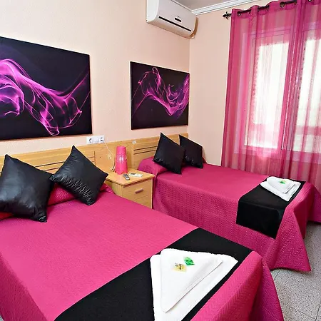 Guest house Carrizo Elda